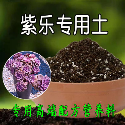 紫乐土专用土种植紫乐盆栽椰糠土壤花泥通用营养土有机花肥腐殖土