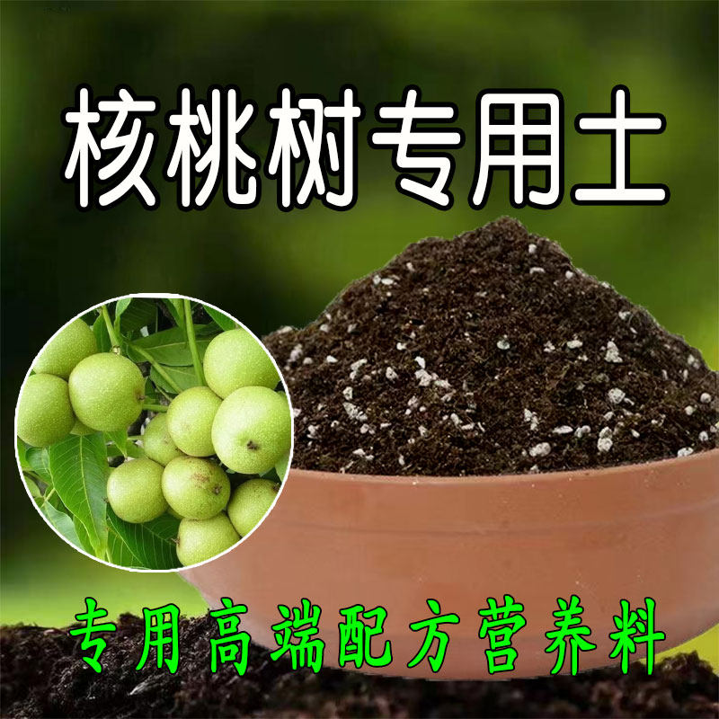 核桃树专用土营养土果树腐殖土培育营养土育苗土养花泥土种植土壤