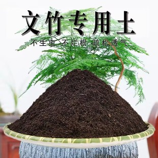 文竹专用土文竹专用营养土盆栽养花有机种植土壤肥料通用种花土培