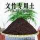 文竹专用土文竹专用营养土盆栽养花有机种植土壤肥料通用种花土培