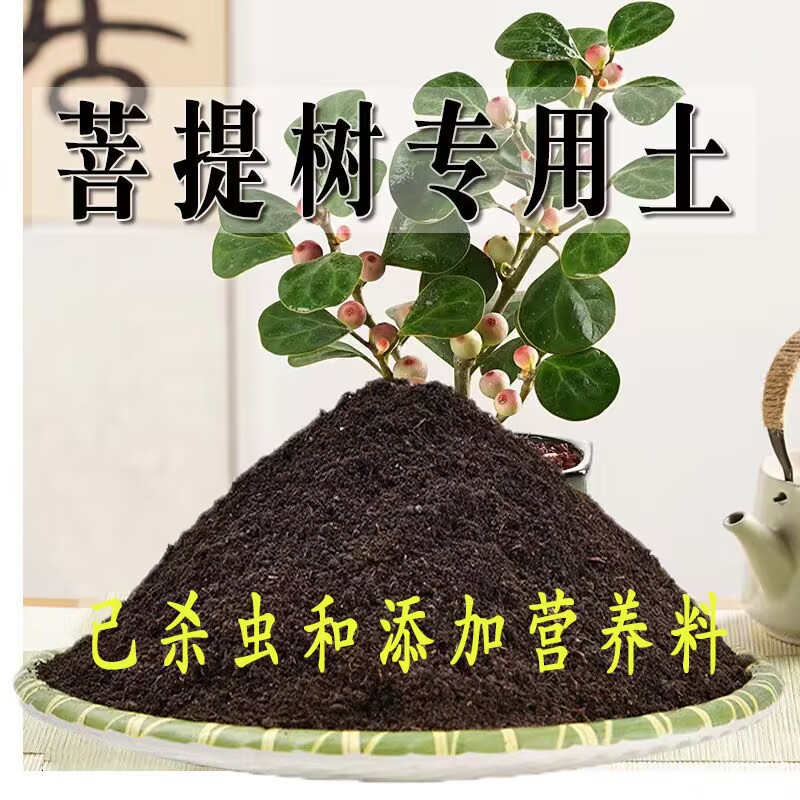 菩提树专用土菩提树专用营养土盆栽养花种植土壤肥料通用种花土培