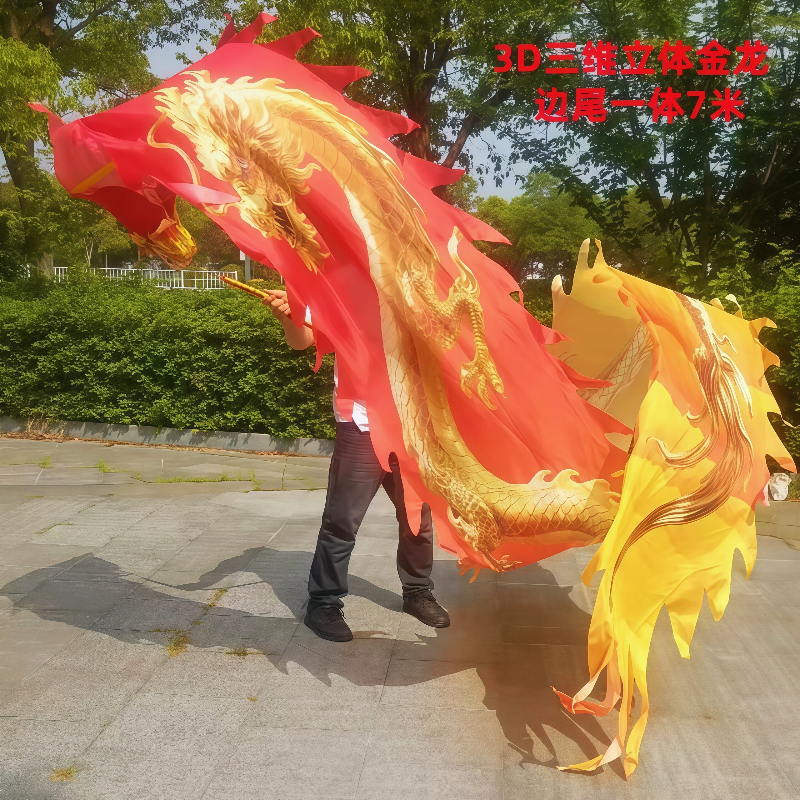 广场健身彩带龙立体彩绸印花一体布龙老人单人手耍龙锻炼钢架龙头