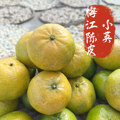 2025年树顶果2微红偏青梅江原枝柑整皮陈皮果农直售袋装批发广东