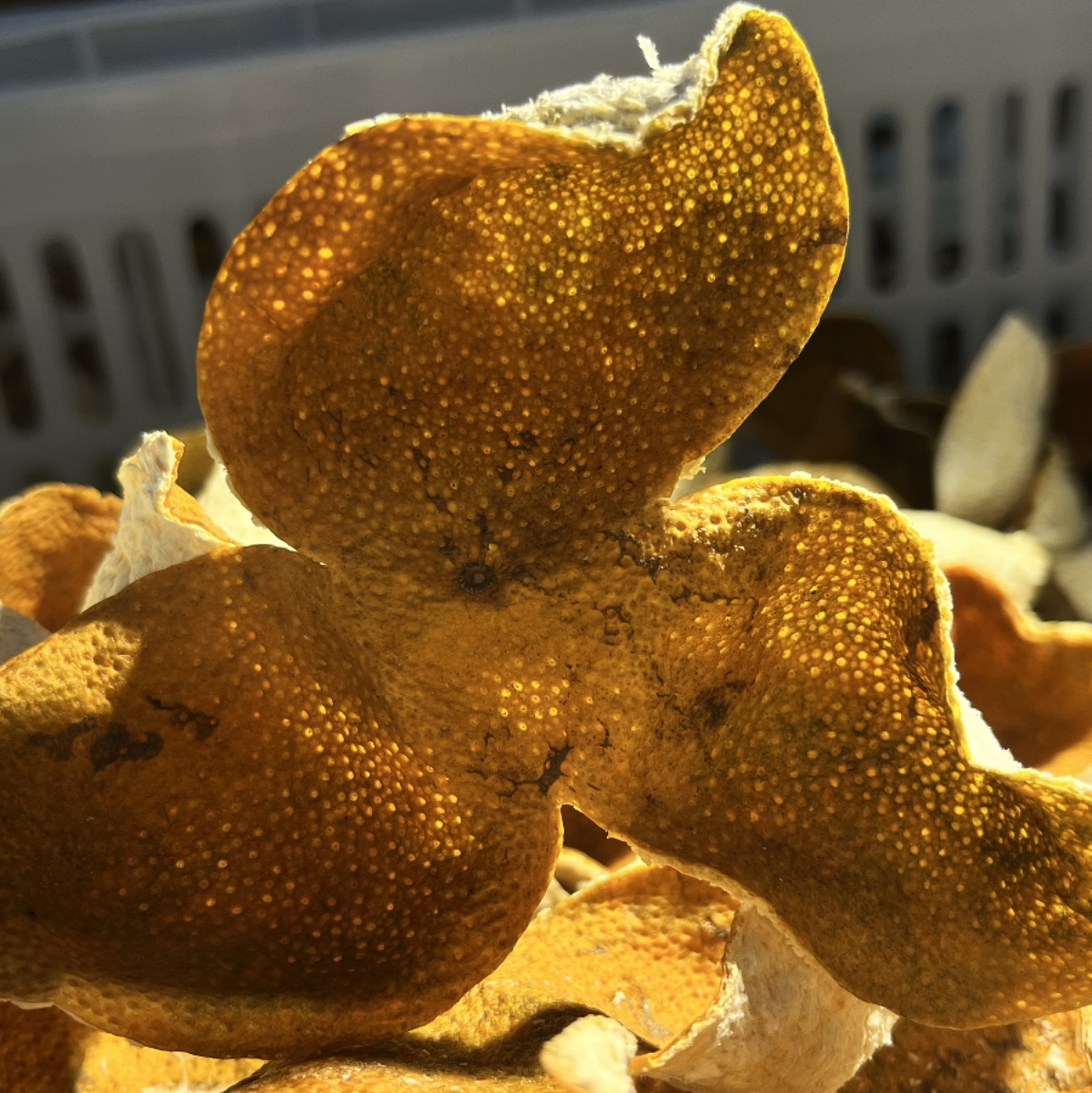 正品梅江陈皮圈枝2024大红500克