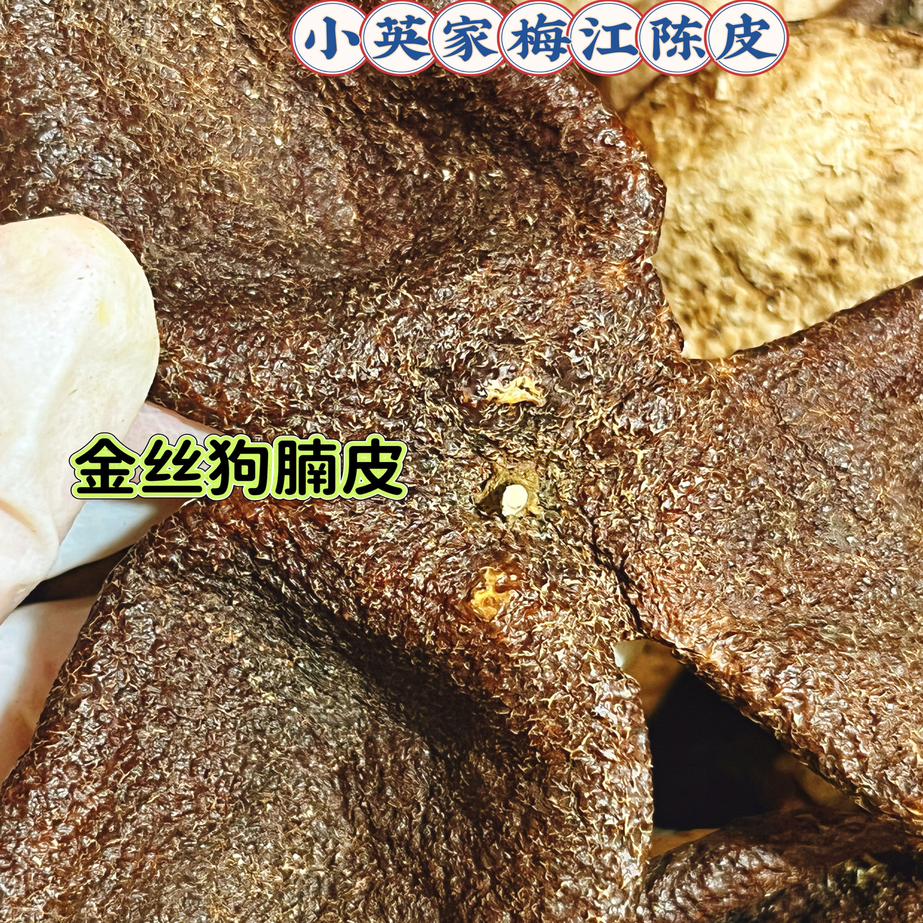 梅江金丝狗腩皮纯正原枝陈皮图片
