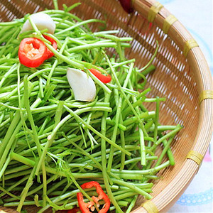 【冰袋加泡沫箱发货3斤包邮】去叶除泥蔡甸泥蒿新鲜芦蒿 藜蒿篓蒿