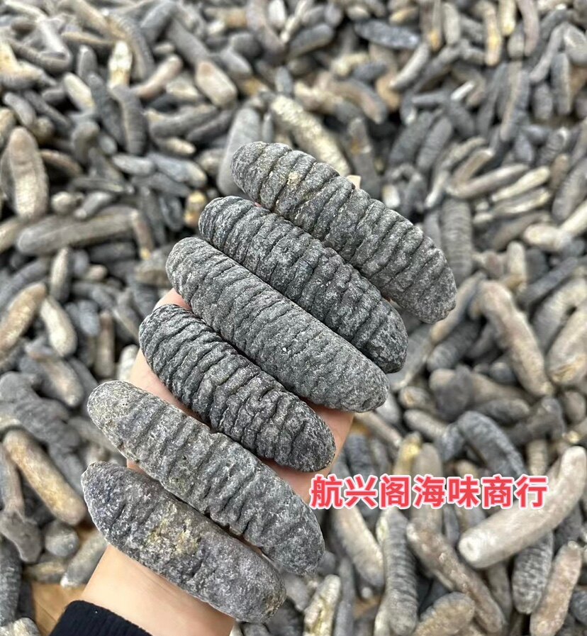 澳洲明秃参淡干海参 酒店专用6干品/即食海参