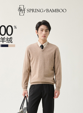 春竹100%山羊绒舒适百搭2025秋冬新款针织毛衣V领上衣男士羊绒衫