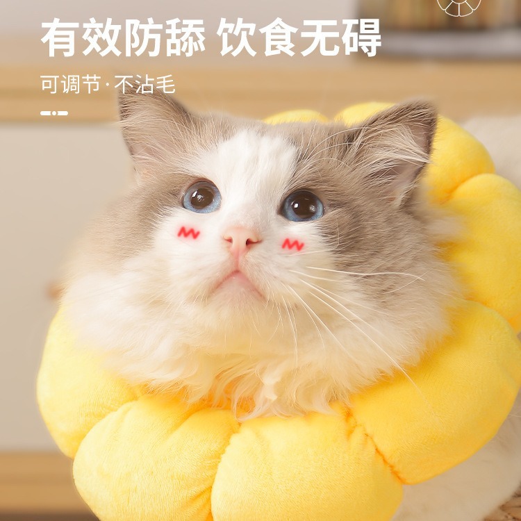 猫咪项圈伊丽莎白圈狗狗防舔软头套伊莉伊利沙白羞耻脖圈绝育用品