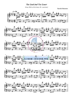 The Seed and the Sower 坂本龙一 钢琴谱 五线谱 送示范音频