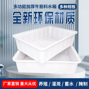 塑料水箱长方形加厚牛筋大号储水桶卖鱼浅盆养鱼周转箱水产养殖箱