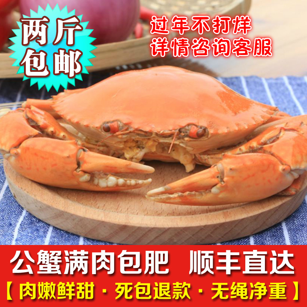 顶津南沙青蟹肉质肥美鲜活海鲜水产小公蟹肉蟹螃蟹两斤