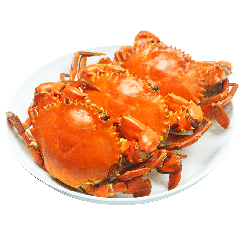 顶津青蟹肉质肥美鲜活水产小公