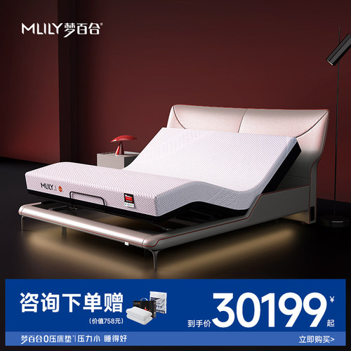 零压电动床梦百合智能床梦剧场