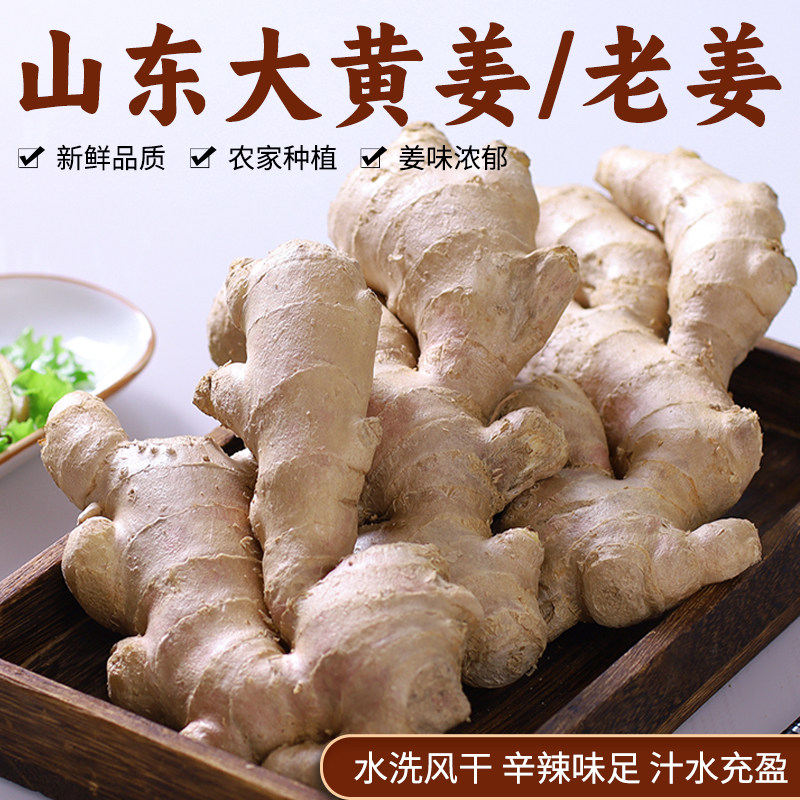 山东大姜生姜新鲜黄姜水洗老姜批发风干姜现挖姜块