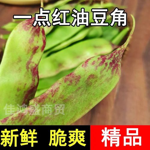 正宗油豆角一点红九月青豆角新鲜现摘油豆角开锅烂农家小油豆面豆