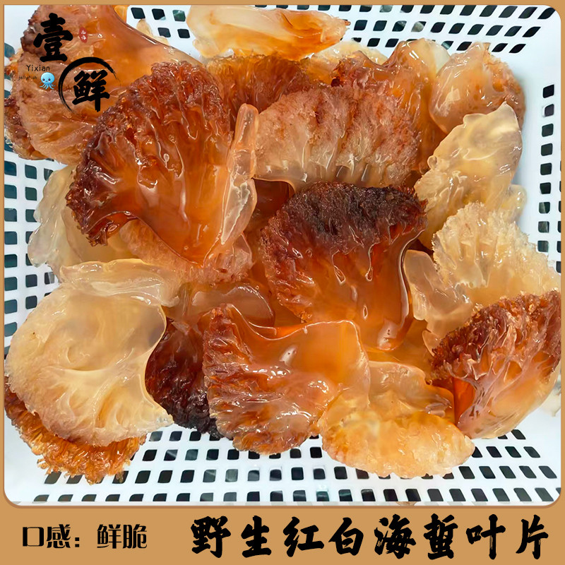野生红白海蜇大叶片鲜脆优质绵蛰海蜇