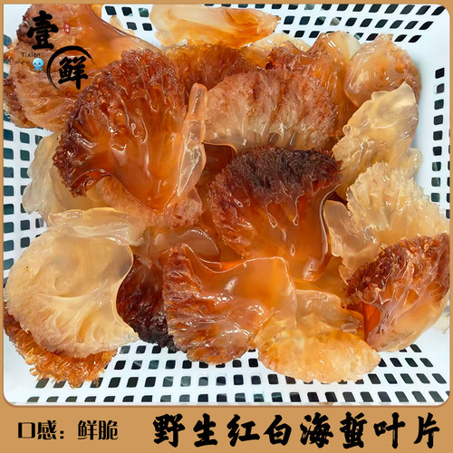 野生红白海蜇大叶片鲜脆优质绵蛰头 新鲜海蜇头红白叶片桶装腌制