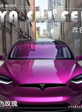 工厂直销TPU暮色玫瑰汽