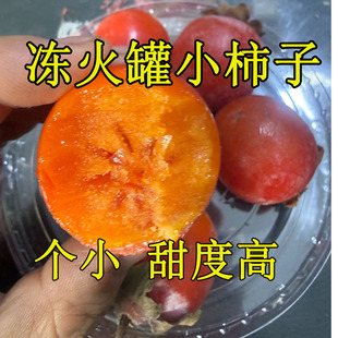东北冷冻火罐蜜柿子黑龙江冻小柿子天然冷冻一口流心个头小包邮