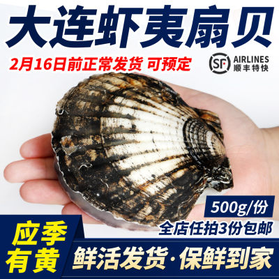 大连特产鲜活夏威夷贝虾夷扇贝