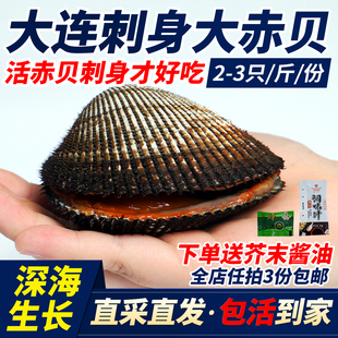 大连大赤贝海鲜水产贝类鲜活新鲜大毛蚶野生毛蛤血蛤日料刺身一斤