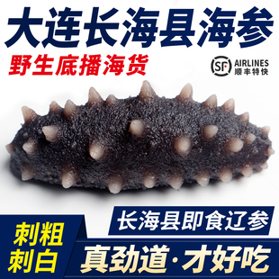 大连鲜食海参即食无污染深海辽刺参长海县底播特大冷蒸锁鲜5-15头