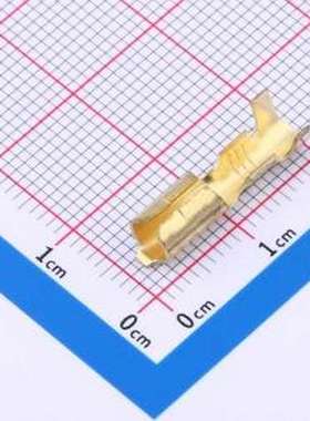 170003-5 冷压端子 端子