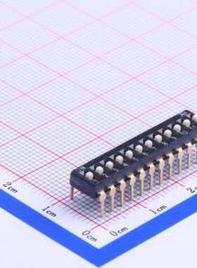 DSIC12LHGET 拨码开关 2.54mm间距（黑）12位（高推钮） 插件