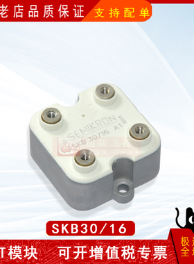 SKB30/12A1/14A1/16A1/18A1全新电子元器件功率模块