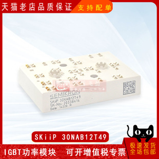SKIIP30NAB12T11/T1/T10全新原装IGBT可控硅晶闸管功率模块