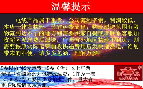 阳工国标双芯电线BLVVB2*2.5 4 6平方铝芯护套线100米铝线 平行线