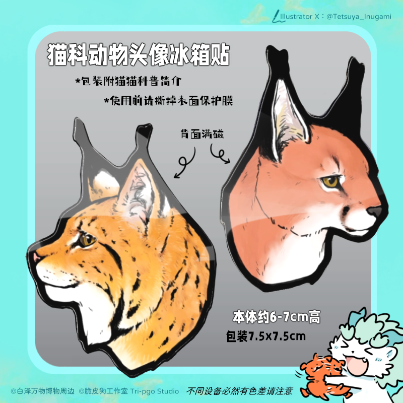 原创猫科动物头像亚克力冰箱贴猞猁老虎狮子狞猫薮猫云豹雪豹兔狲