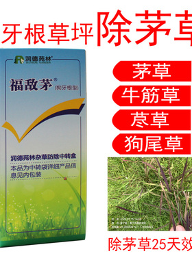 茅草除草剂润德福敌茅狗牙根草坪除马唐稗草千金子芦苇除杂草农药
