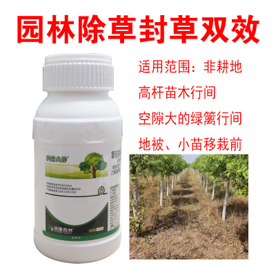润德尚静草铵膦乙氧氟草醚灭生性除草剂除牛筋草小飞蓬水花生莎草