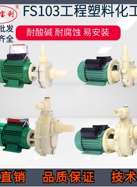 FS103工程塑料耐酸碱泵32-11耐腐蚀化工离心水泵102防腐自吸泵101