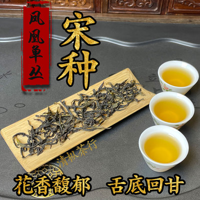宋种乌岽老枞凤凰单丛春茶试喝装