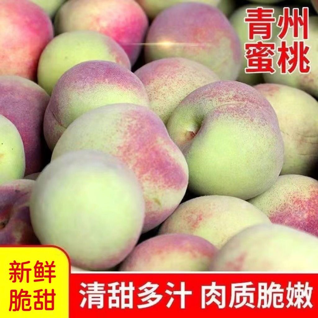 【脆甜】青皮脆蜜桃脆甜清香桃子新鲜脆桃香甜多汁当季非青州蜜桃