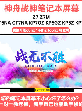 神舟 战神Z7M-CT5NA CT7NA KP7GZ KP5GZ KP5Z KP7Z内显示液晶屏幕