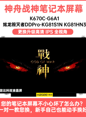 神舟 战神K670C-G6A1 炫龙毁灭者DDPro-KG81S1N/HN3 显示液晶屏幕