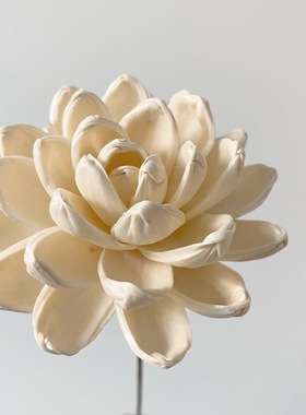 植物通草花手工莲花家居装饰东方干花花束民宿大厅书房摆件