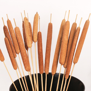 蒲棒天然干花材居家装饰插花鲜花 实体店文艺风软装 拍摄仿真道具