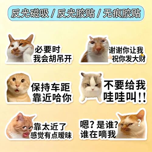 钛7车贴me猫咪搞笑文字表