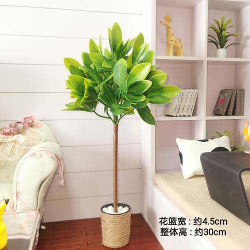 六分blythe娃屋盆景拍照道具