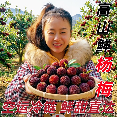 杨梅鲜果大果当季水果冷链空运