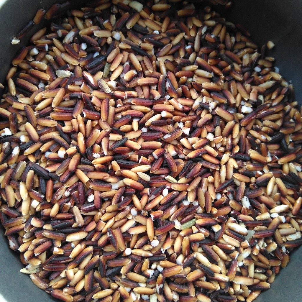 新黑米紫红米江西新紫红米五谷杂粮生态紫红米1000g姚社长