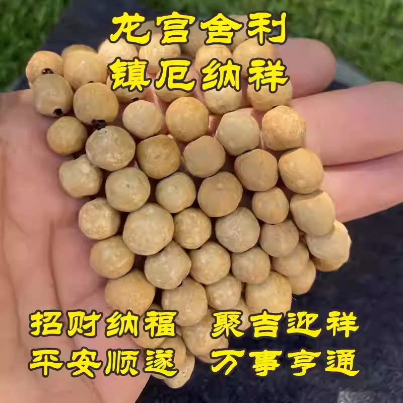 龙宫舍利原矿 手链 随形手链 龙珠 穴珠 手串 灵石 精品包邮