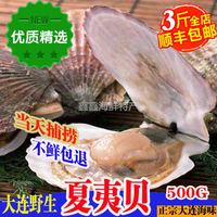 大连海鲜鲜活大扇贝新鲜元贝鲜活夏夷贝活鲜海产贝类制品4-5只/斤