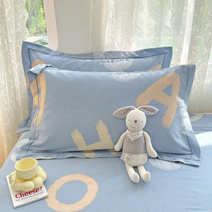 磨毛枕套一对装家用枕头套秋冬季加厚48cmx74cm单双人非全棉纯棉