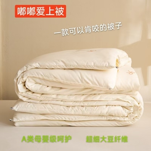A类大豆纤维被子冬被加厚保暖被芯春秋被子冬季单双人棉被
